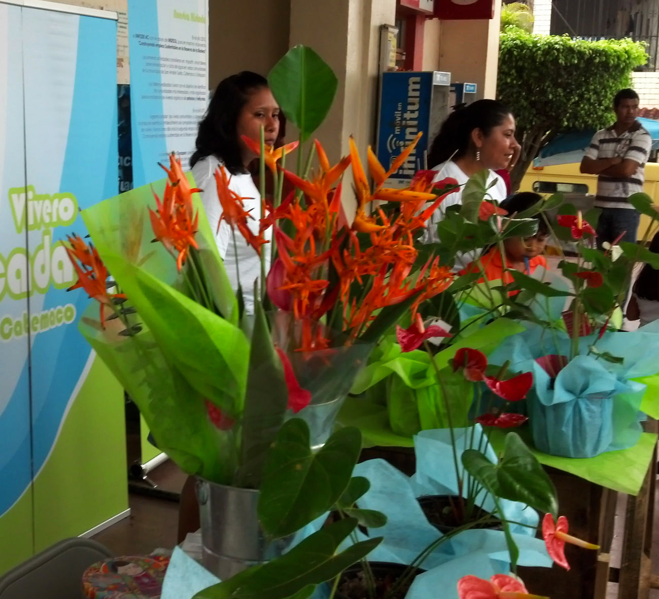 <p>Se amplía la infraestructura productiva y se inician los procesos de comercialización de manera local.</p><p><strong>Cambio: </strong>Producción de flores para la venta.</p>